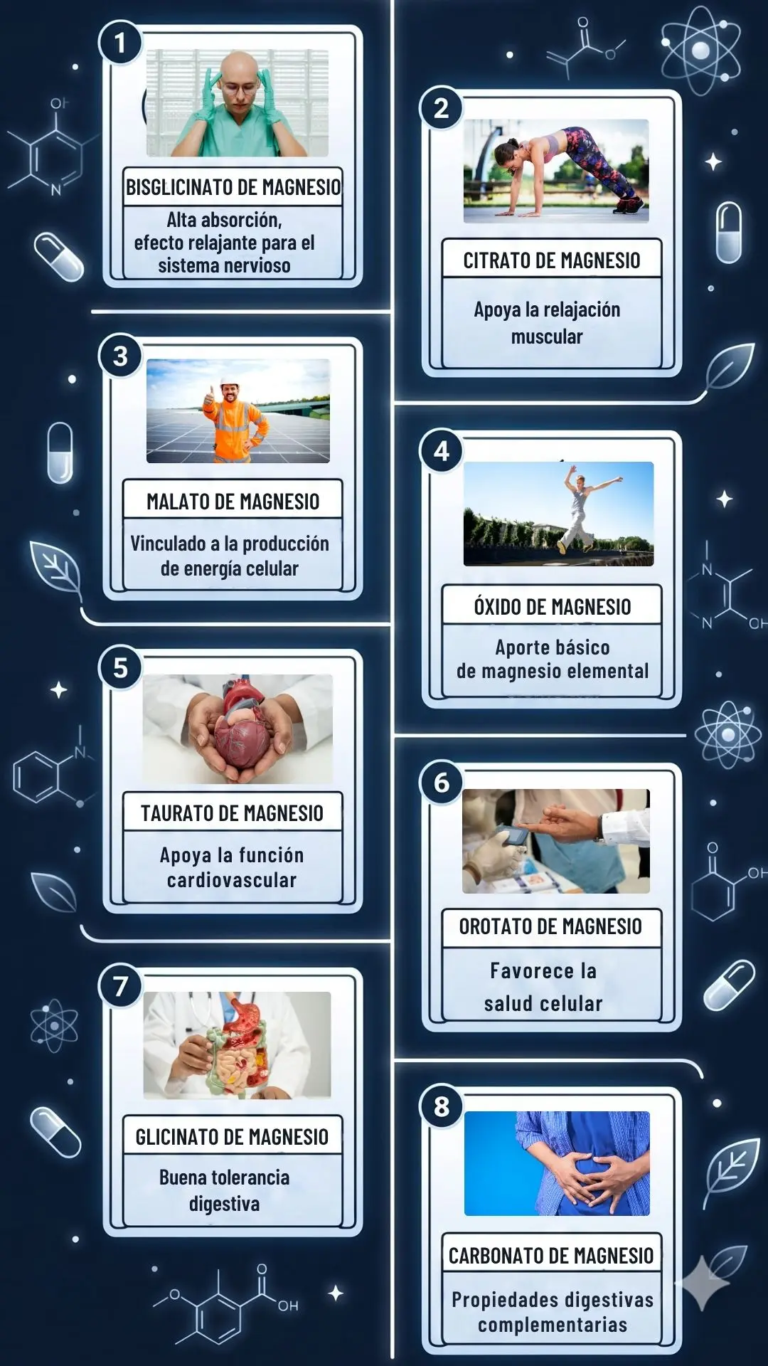 Ingredientes del magnesio